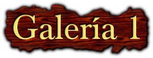 galería 1